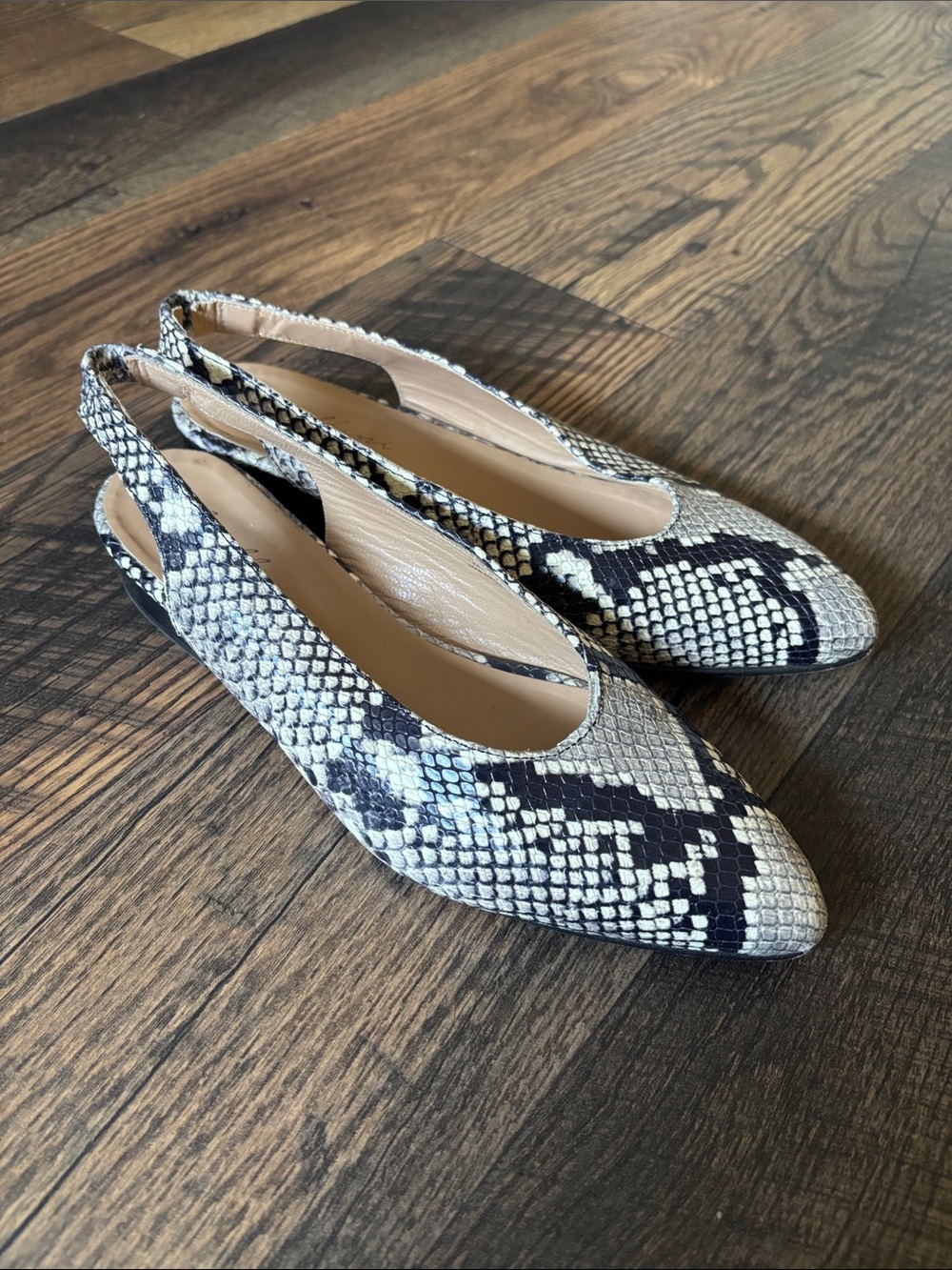 Avellini Snake-Print Pointed Toe Slingback Flats in Black & Cream Made in Italy